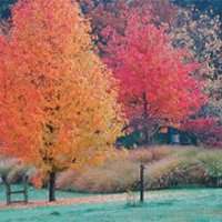 Visite des jardins ouverts - 't Heike Hof 