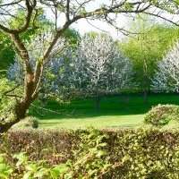 Atelier jardin : visite d'un jardin privé