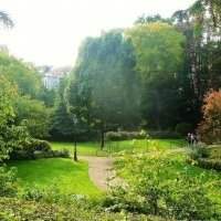 Atelier jardin : Tenbosch au printemps
