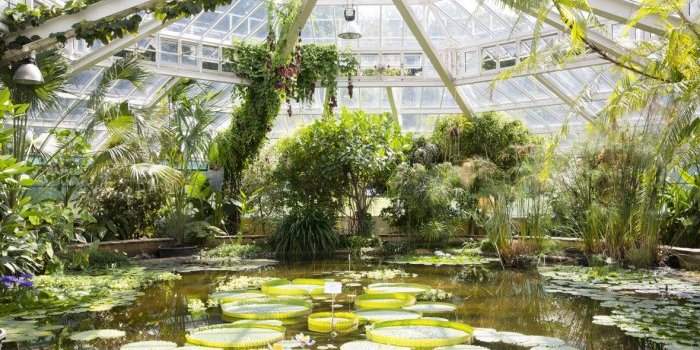 Visite du palais des plantes de Meise 