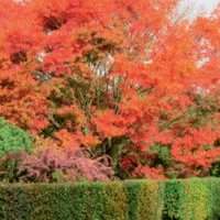 Visite du jardin privé 't Heike Hof à Beersel