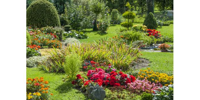 Atelier jardin - Bourse aux plantes et visite d'une pépinière