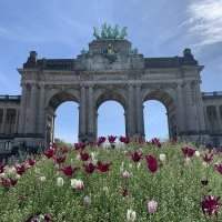 Café de Bruxelles Est et Centre : Cinquantenaire et cornet de frites !