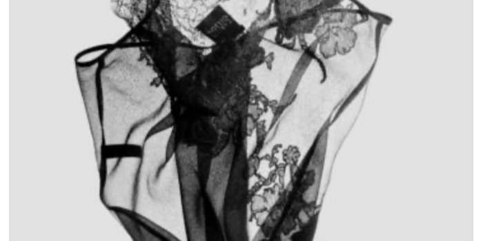 Visites culturelles - “Carine Gilson” au musée Mode et Dentelle 