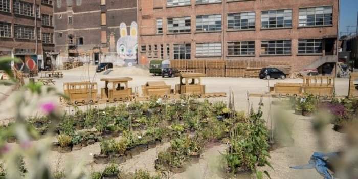 Visite d'un site d'agriculture urbaine à Anderlecht et atelier de plantation - Reprogrammation suite à l'annulation 