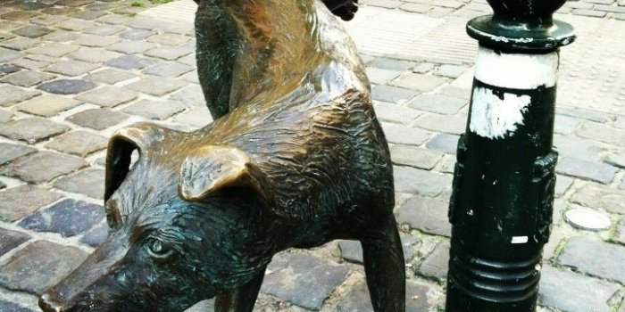 Visites culturelles - Tant qu'il y aura des statues 