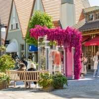 Partenaire : Shopping à Maasmechelen entre copines 