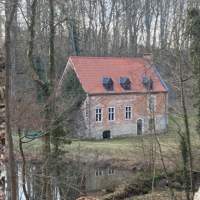 Randonnée périurbaine : autour de Rouge-Cloître, au coeur de la forêt de Soignes