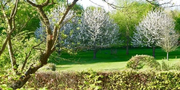 Atelier jardin : visite d'un jardin privé