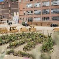 Visite d'un site d'agriculture urbaine à Anderlecht et atelier de plantation - Reprogrammation suite à l'annulation 