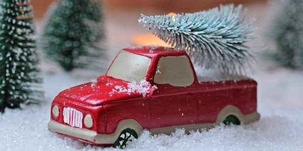 Vente solidaire de sapins de Noël