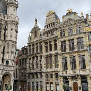Visite de quartier : Grand Place et Ilôt Sacré, art et histoire