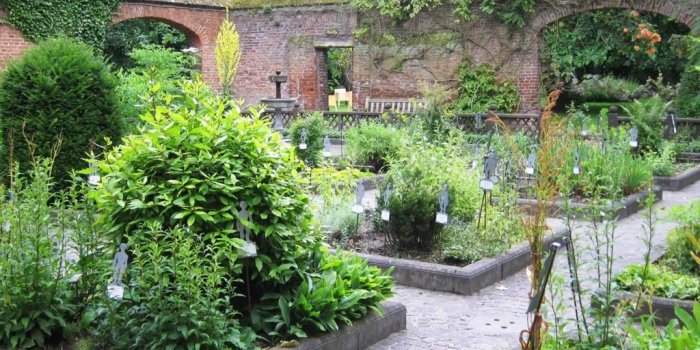 Visite de la maison d'Erasme et ses jardins