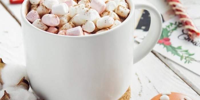 Café de l'Accueil : Uccle, Saint Gilles et Forest