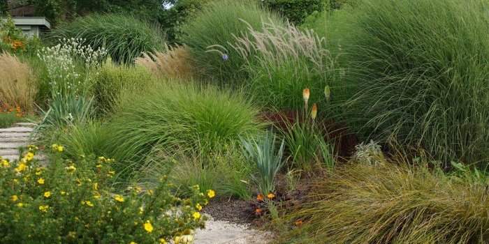 Visite du jardin privé Amoena