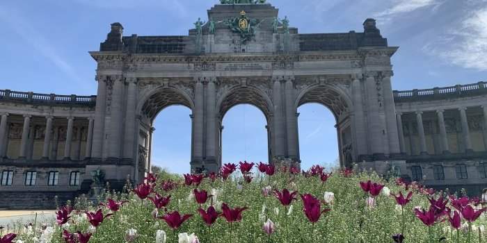 Café de Bruxelles Est et Centre : Cinquantenaire et cornet de frites !