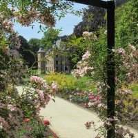 Visite guidée de la roseraie du château Coloma à Sint-Peeters-Leeuw