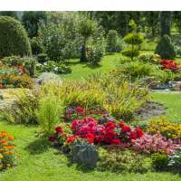 Atelier jardin - Bourse aux plantes et visite d'une pépinière