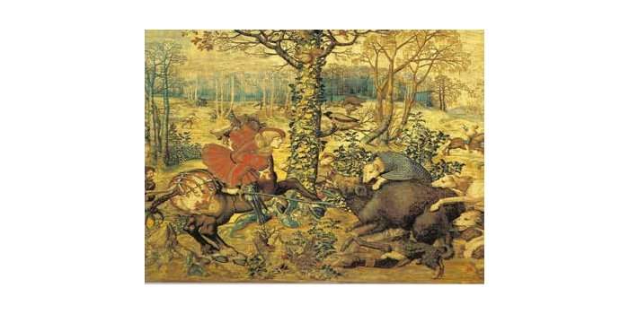 Conférence nature, art et histoire de la Forêt de Soignes 