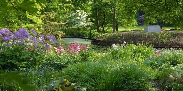 Atelier jardin : Herkenrode