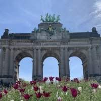Café de Bruxelles Est et Centre : Cinquantenaire et cornet de frites !