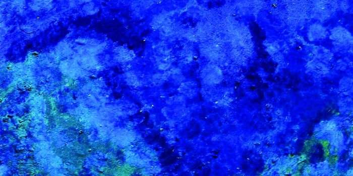 Expositions de Christine Tinel