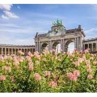 Café de l'Accueil : Bruxelles Est et Centre