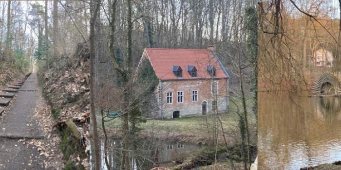Randonnée périurbaine : autour de Rouge-Cloître, au coeur de la forêt de Soignes