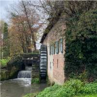 Randonnée culturelle : Le vieux Grimbergen et la route des Chapelles