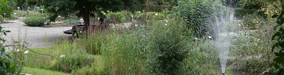 Atelier jardin - Accueil français de Bruxelles